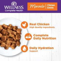 Wellness Complete Health Morsels cat wet food with cube-shaped chicken pieces in light gravy