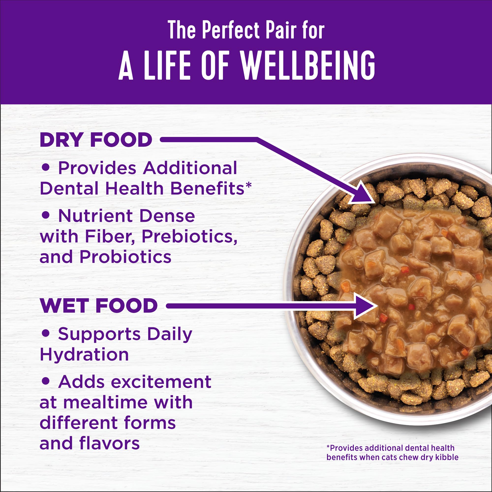 Wellness Complete Health kibble showing balanced omega fatty acids for coat and skin