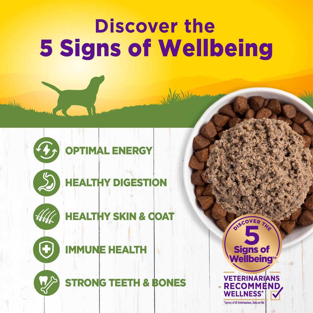 Omega fatty acids support healthy skin and coat in Wellness Pate