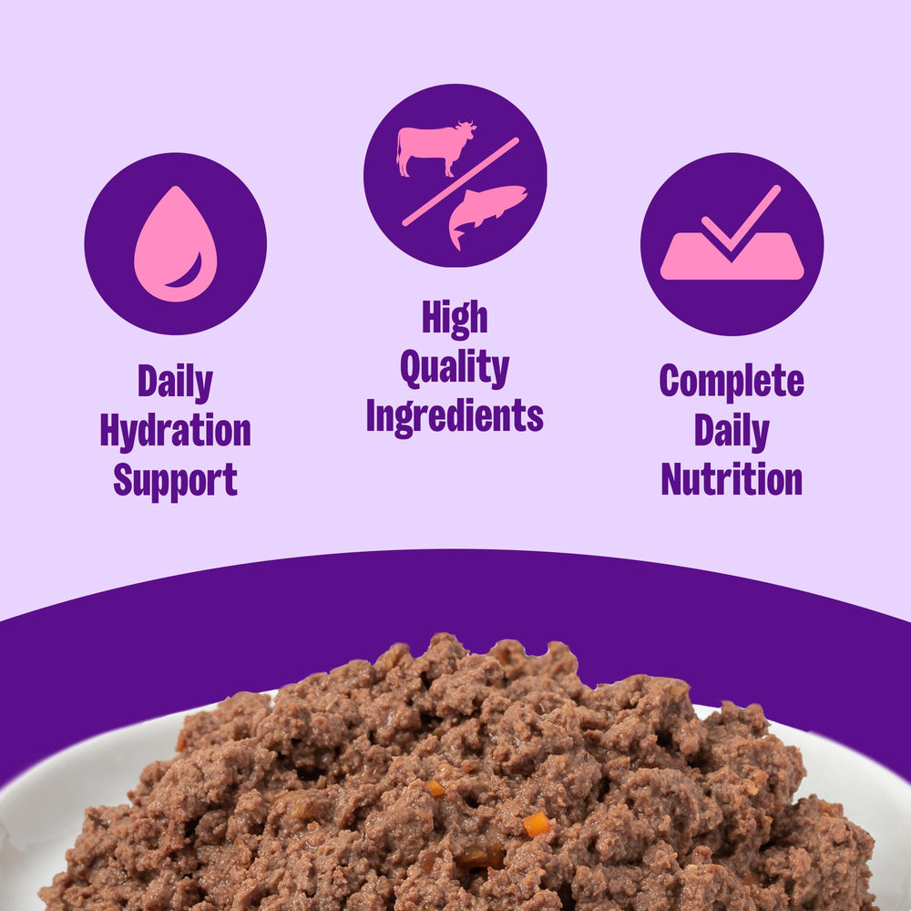 Wellness Complete Health Pate cat food served in a bowl for cats.