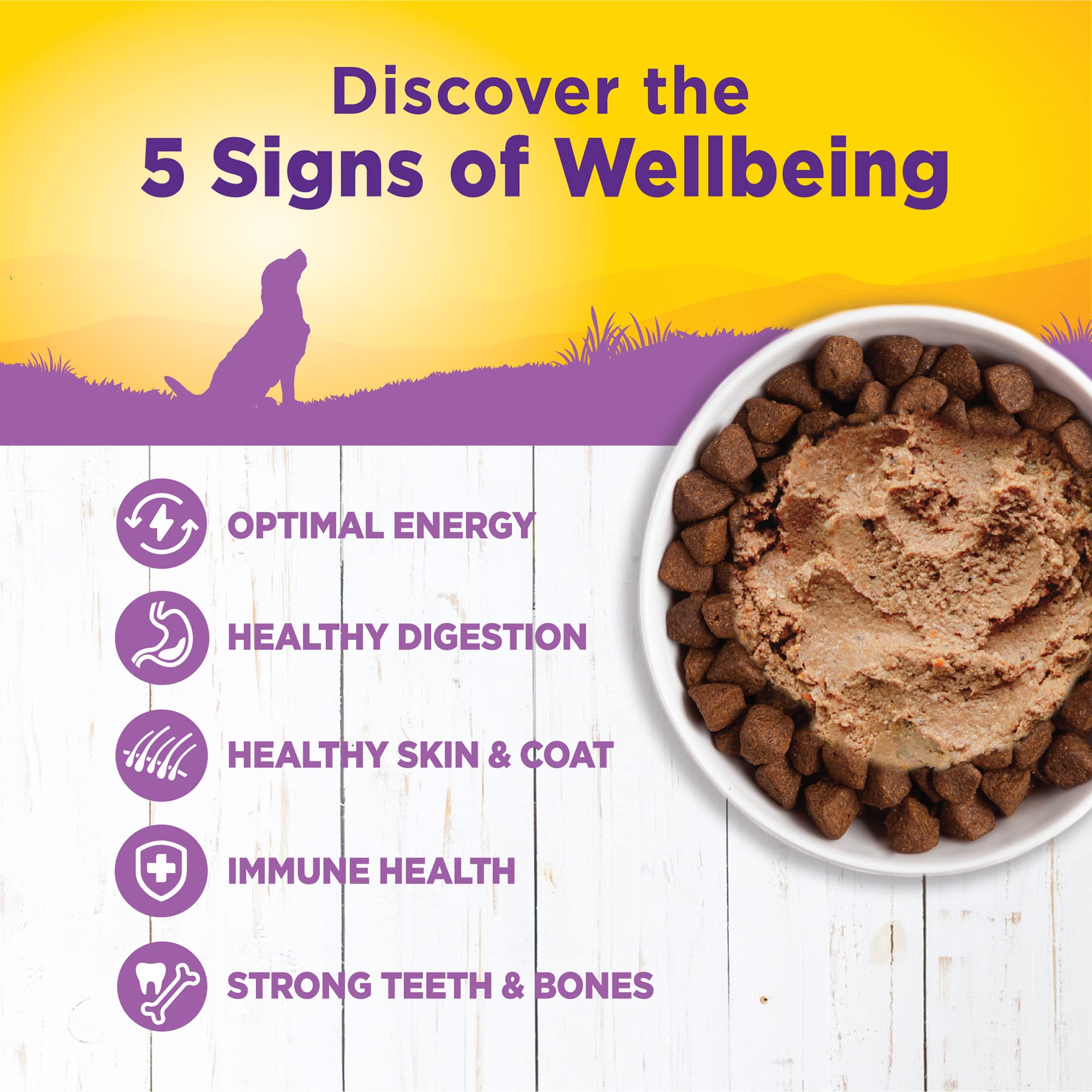 Wellness Complete Health Pate Age Advantage serving bowl highlights smooth pate texture.