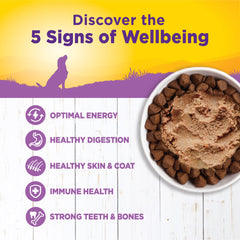 Wellness Complete Health Pate Age Advantage serving bowl highlights smooth pate texture.