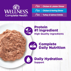 Wellness Complete Health pate variety pack back shows flavors and labeling