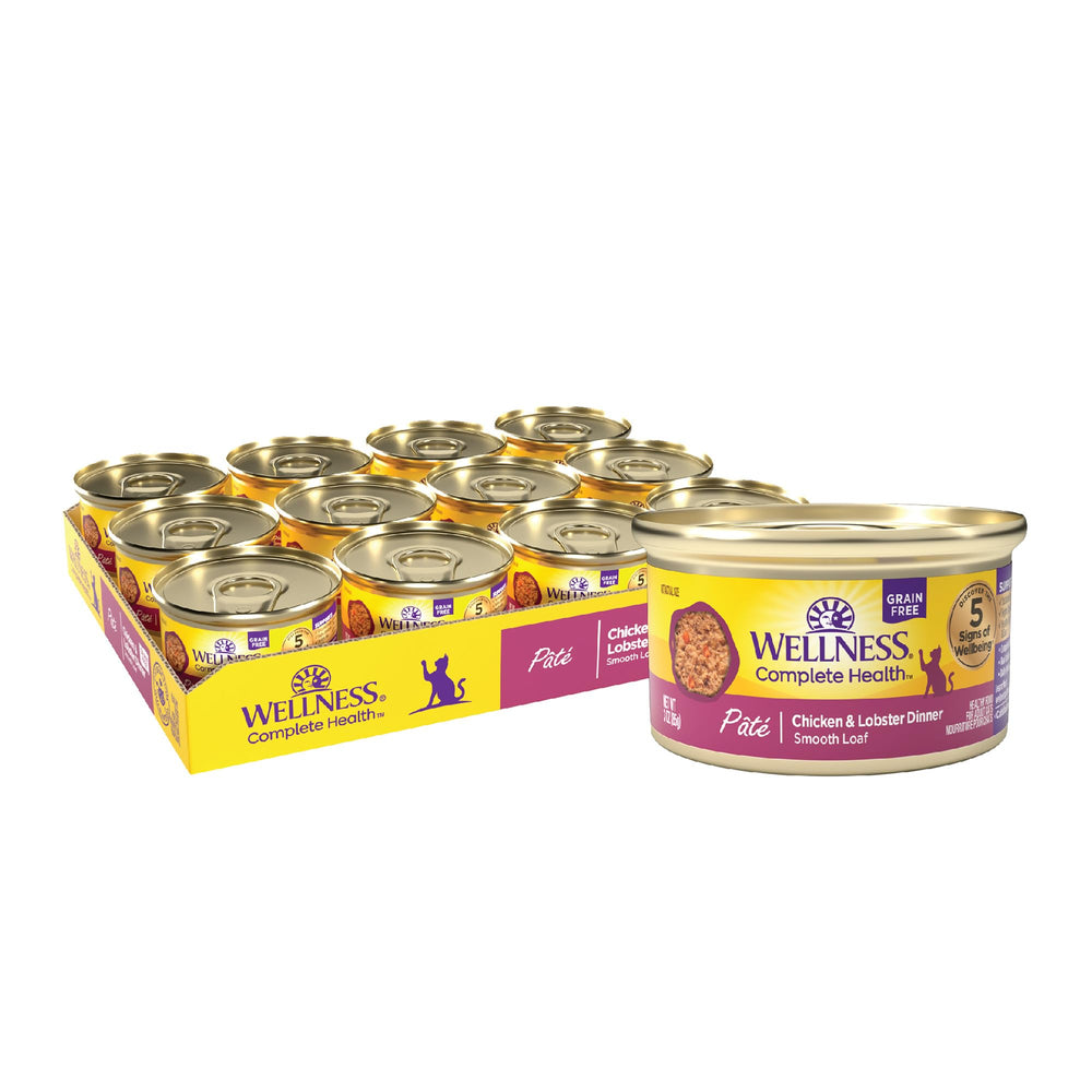 Wellness Complete Health Pate cat bowl: smooth texture for easy feeding.