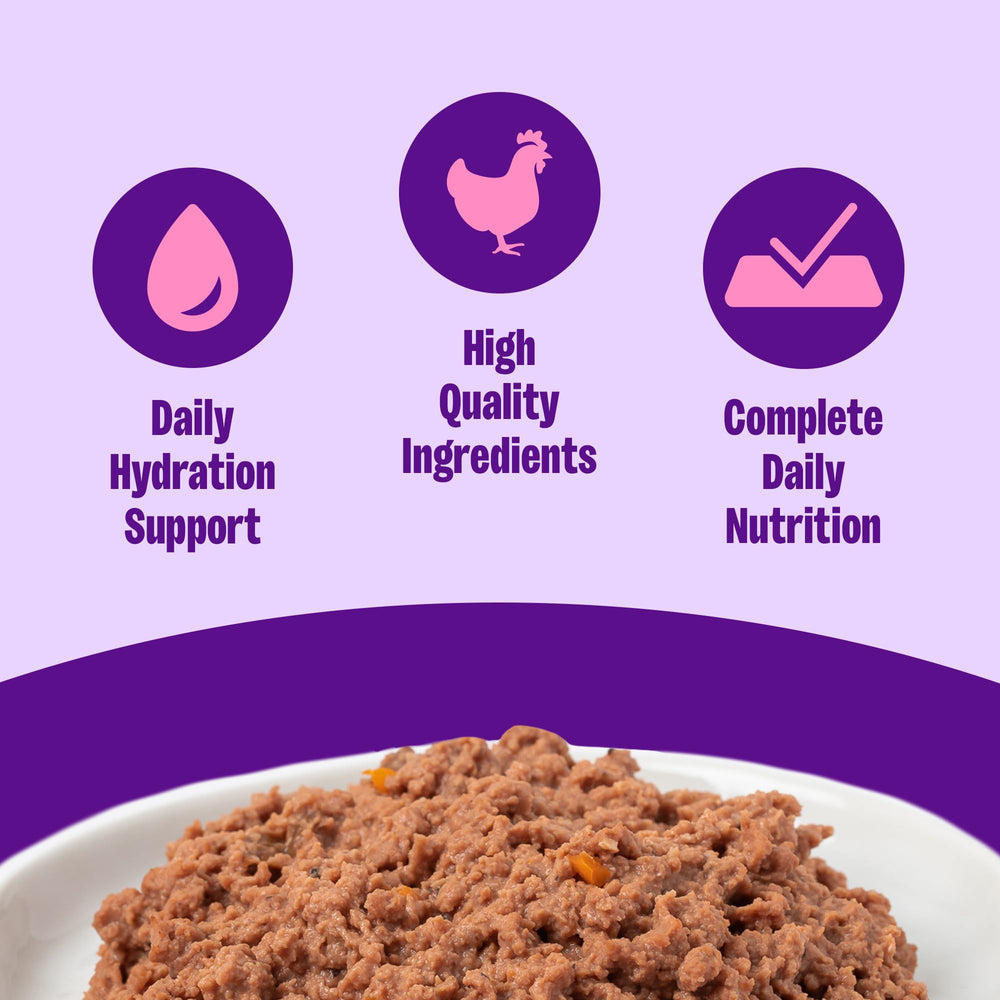 Wellness Complete Health Pate can opened to reveal smooth paté texture