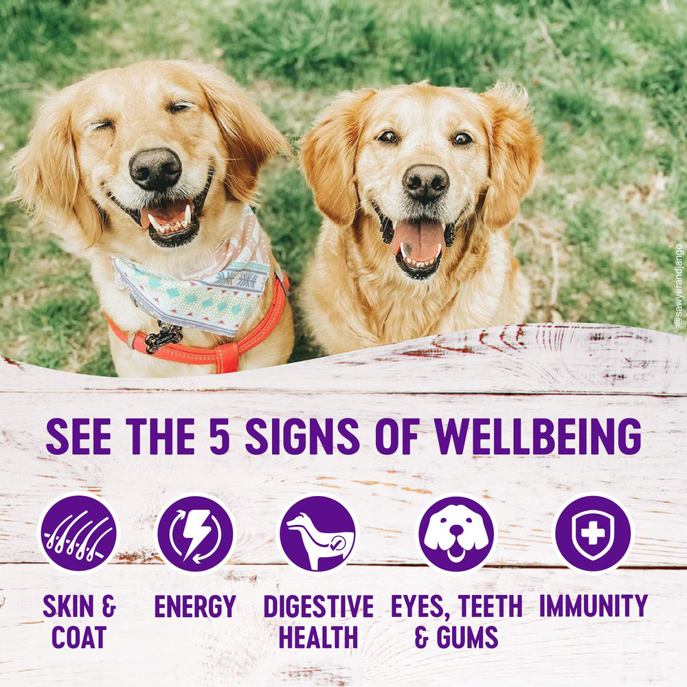 Wellness pate showing omega fats for a healthy coat