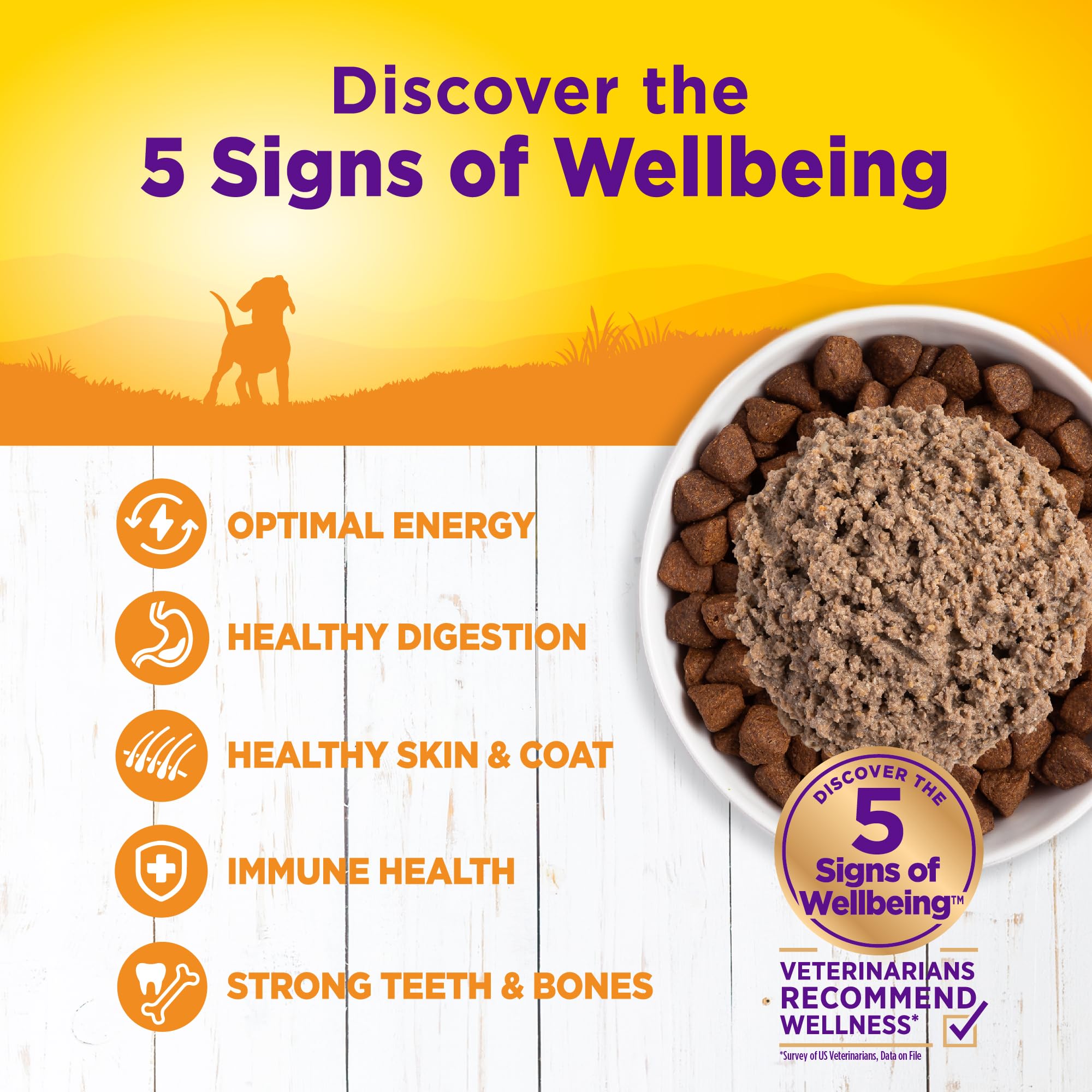 Wellness Complete Health Pate Puppy can shows DHA from salmon oil