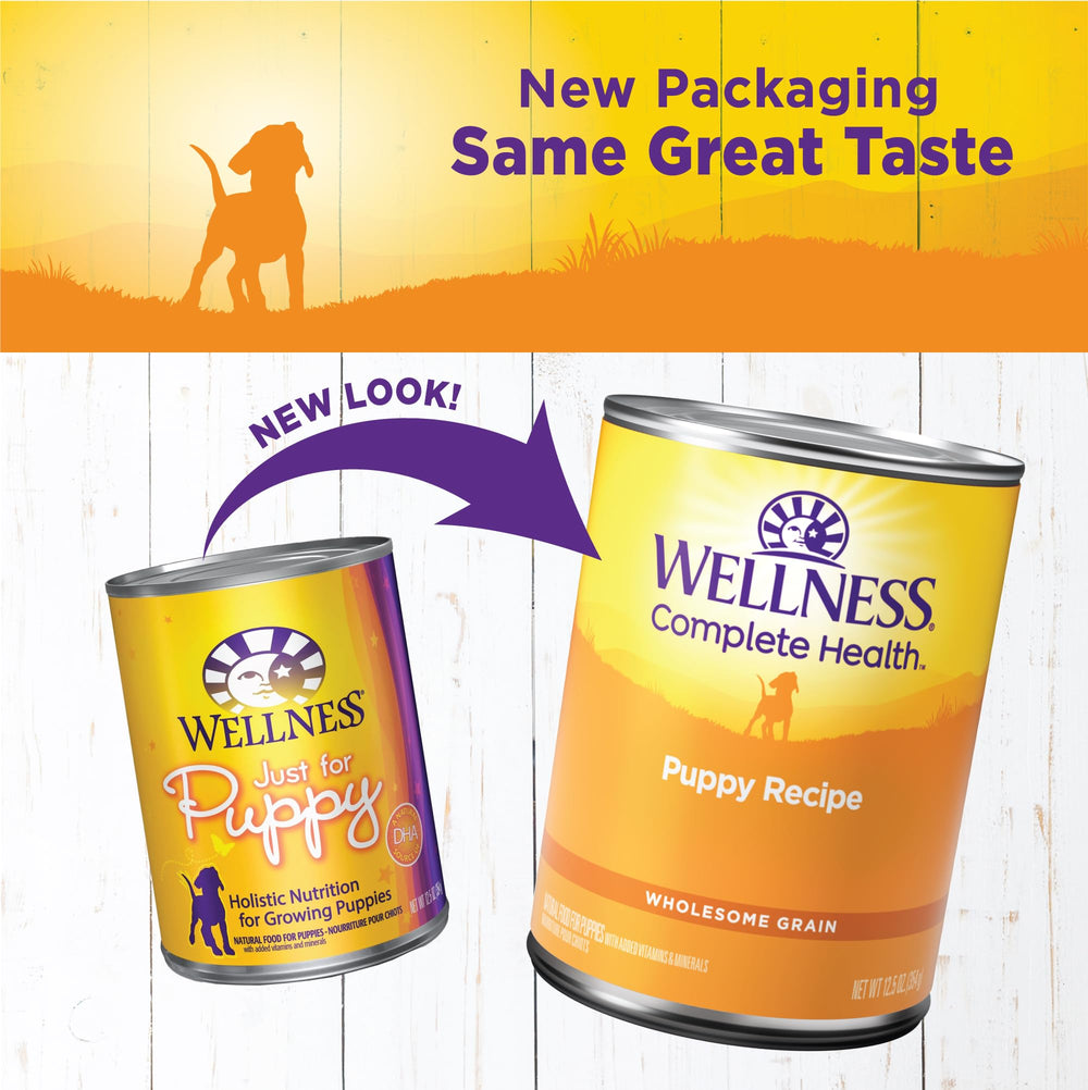 Wellness Complete Health Pate Puppy bowl view highlighting wholesome grains for vitality