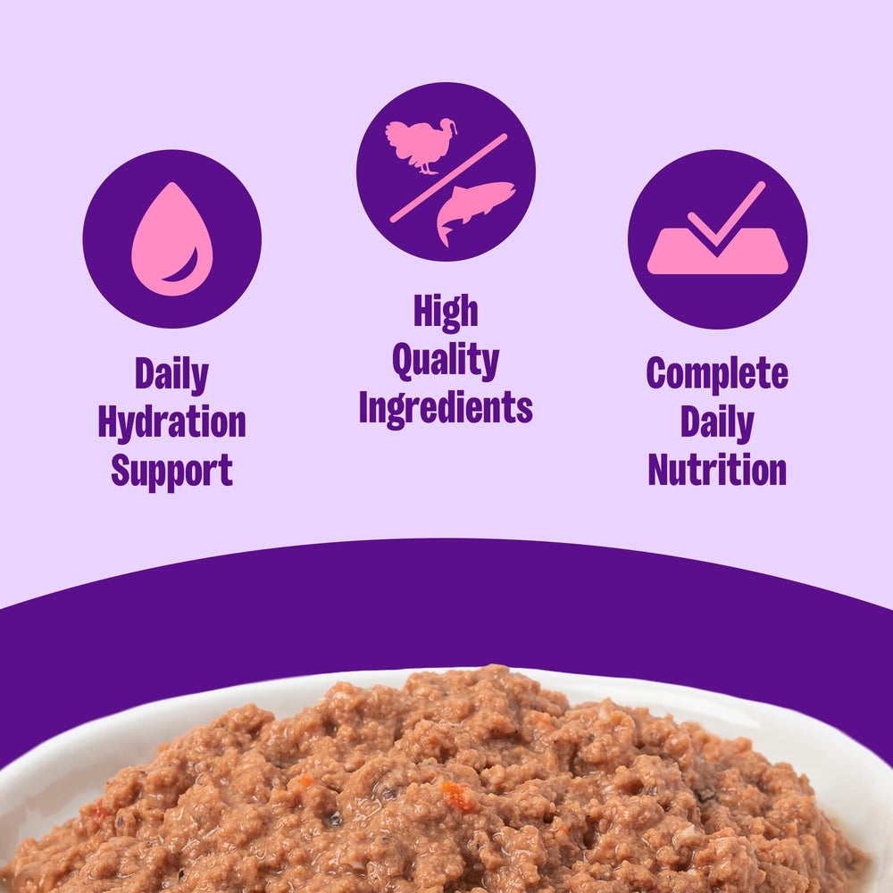 Close-up of Wellness pate texture serving showing smooth, palatable consistency