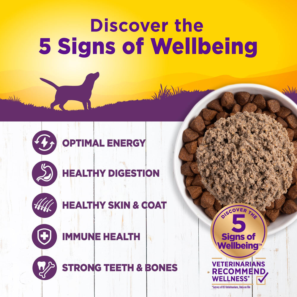 Close-up of Wellness Complete Health Pate texture, showing smooth, appetizing consistency.
