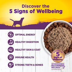 Close-up of Wellness Complete Health Pate texture, showing smooth, appetizing consistency.