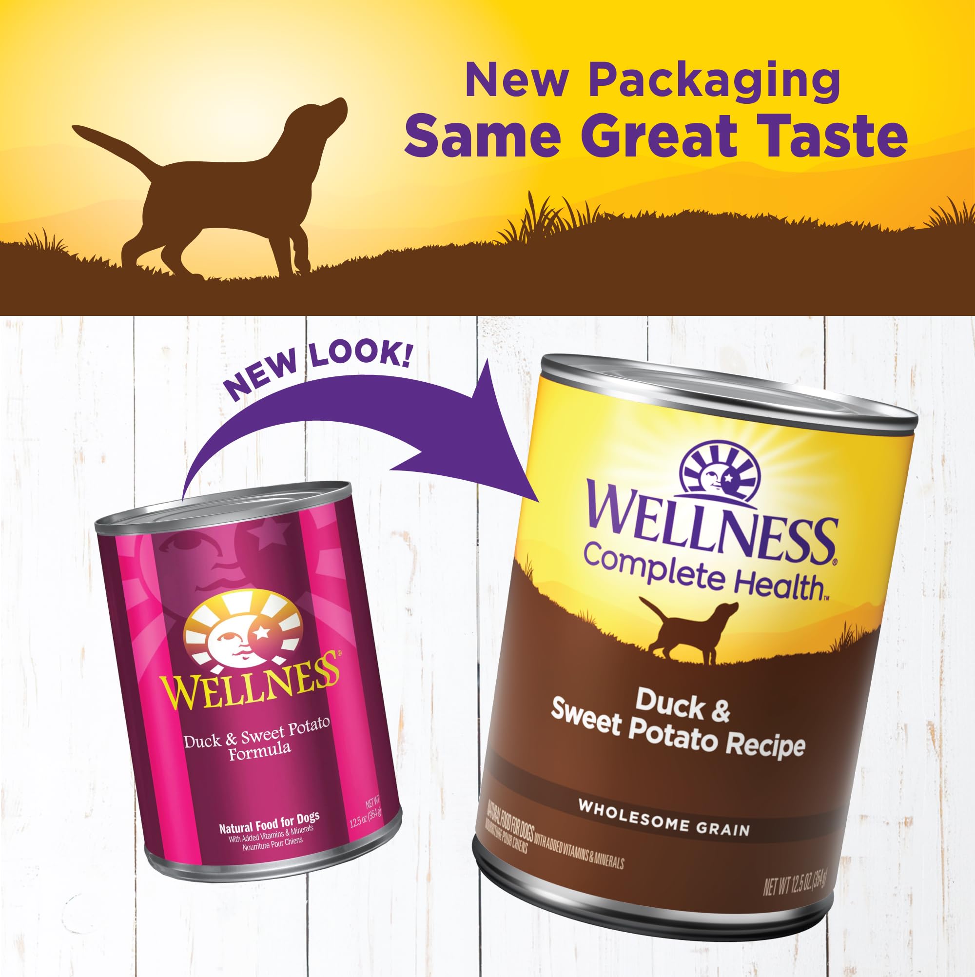 Smooth pate texture highlighted for Wellness Complete Health Pate, appealing to picky eaters.