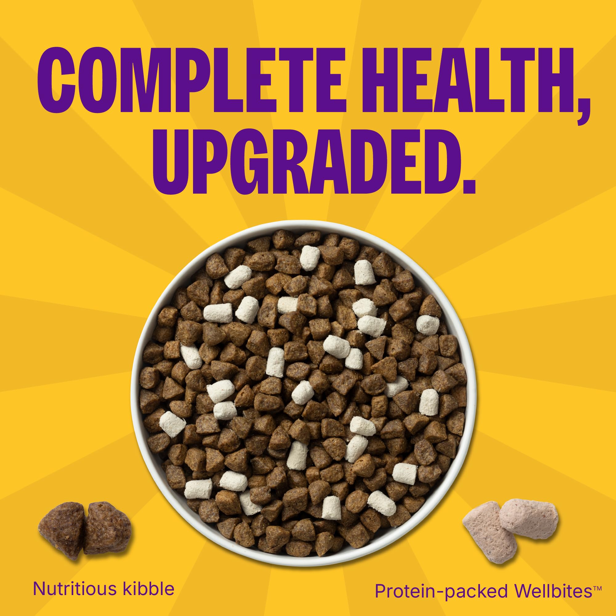 Wellness Complete Health+ whitefish dry dog food close-up highlights tender flakes