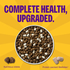Wellness Complete Health+ whitefish dry dog food close-up highlights tender flakes
