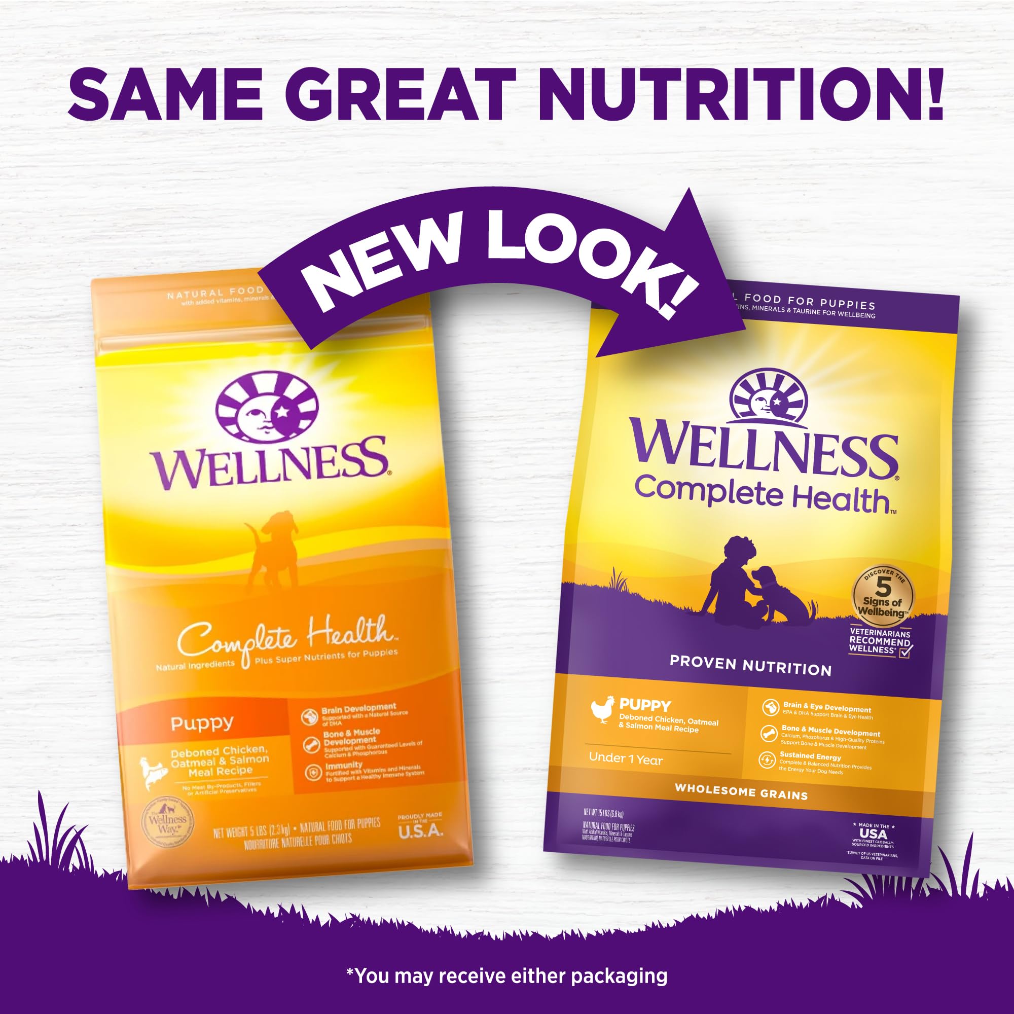 DHA from salmon oil supports healthy brain development in Wellness Puppy food