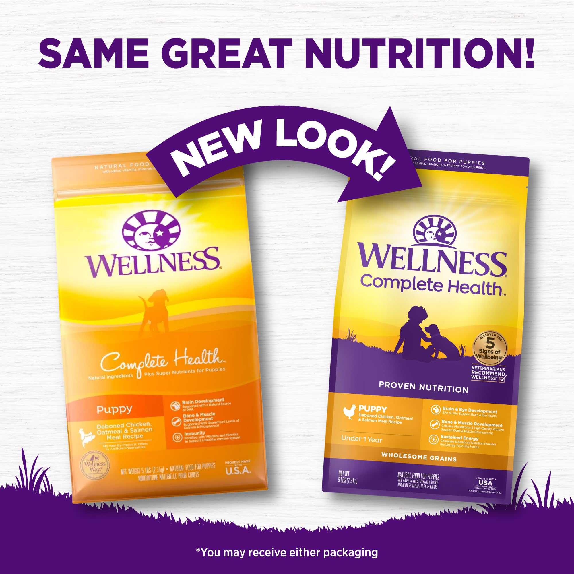 Puppy enjoys Wellness Complete Health kibble in a bowl at mealtime.