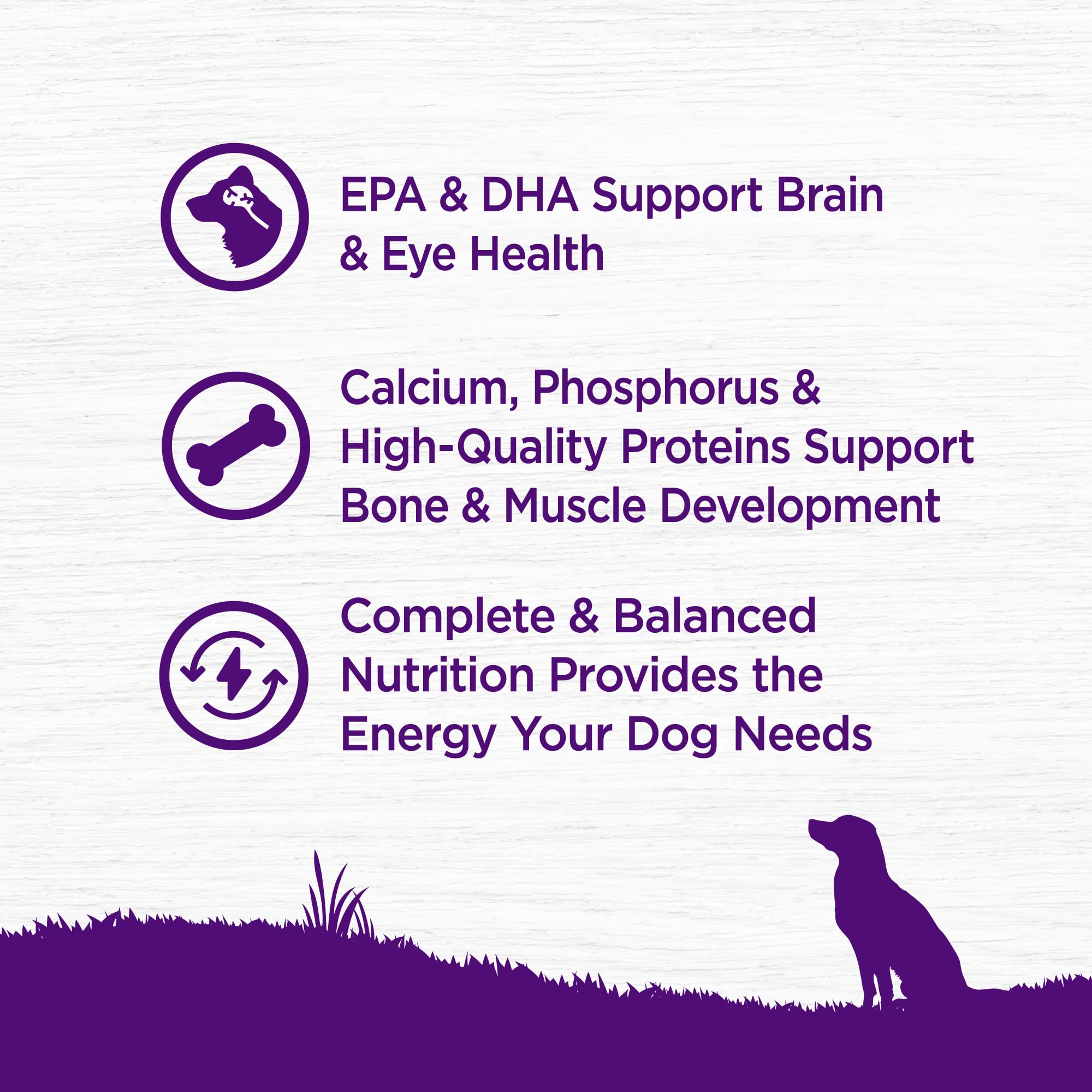 USA-made Wellness Complete Health label on puppy food packaging.