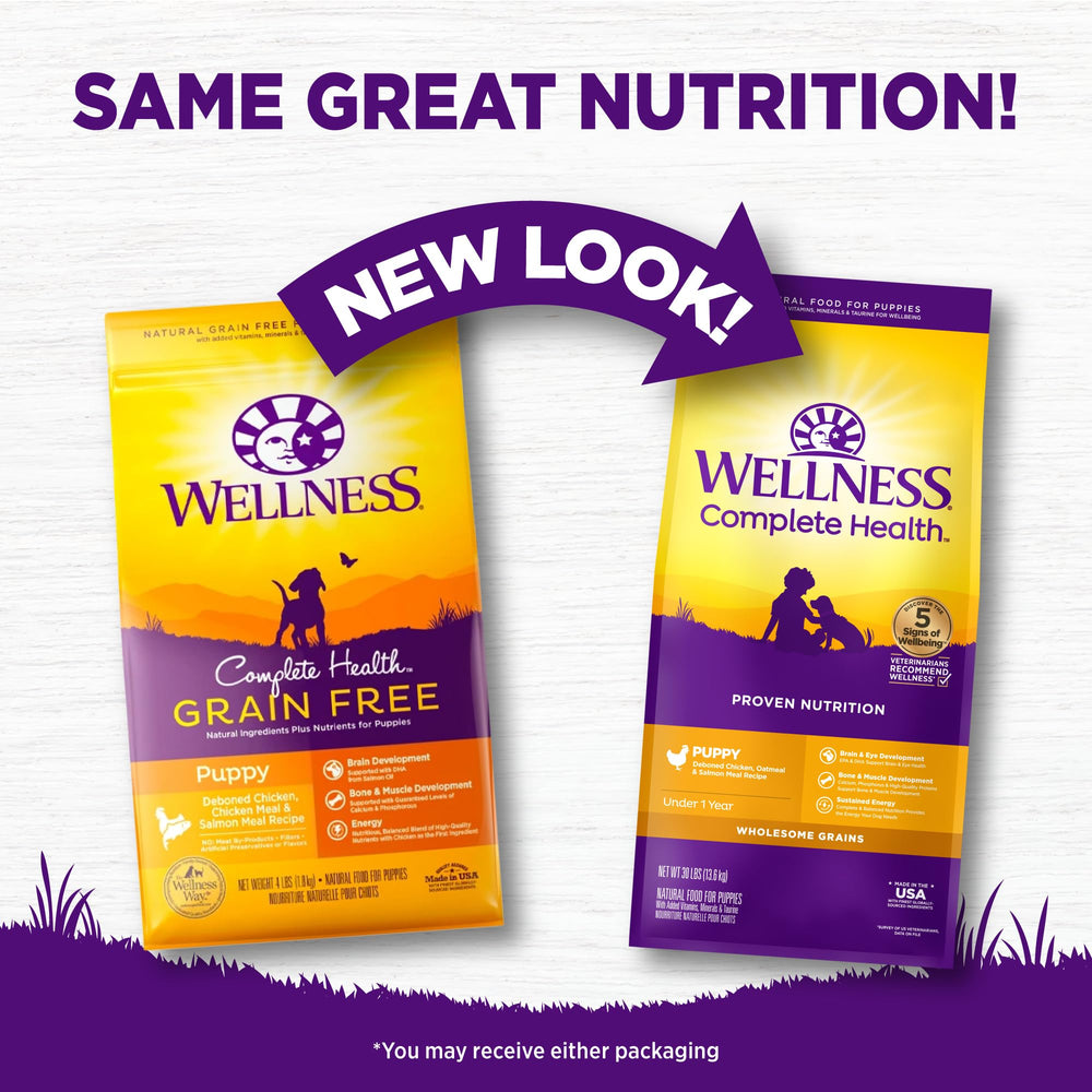 Close-up of WellnessCompleteHealth puppy kibble highlighting crunchy texture