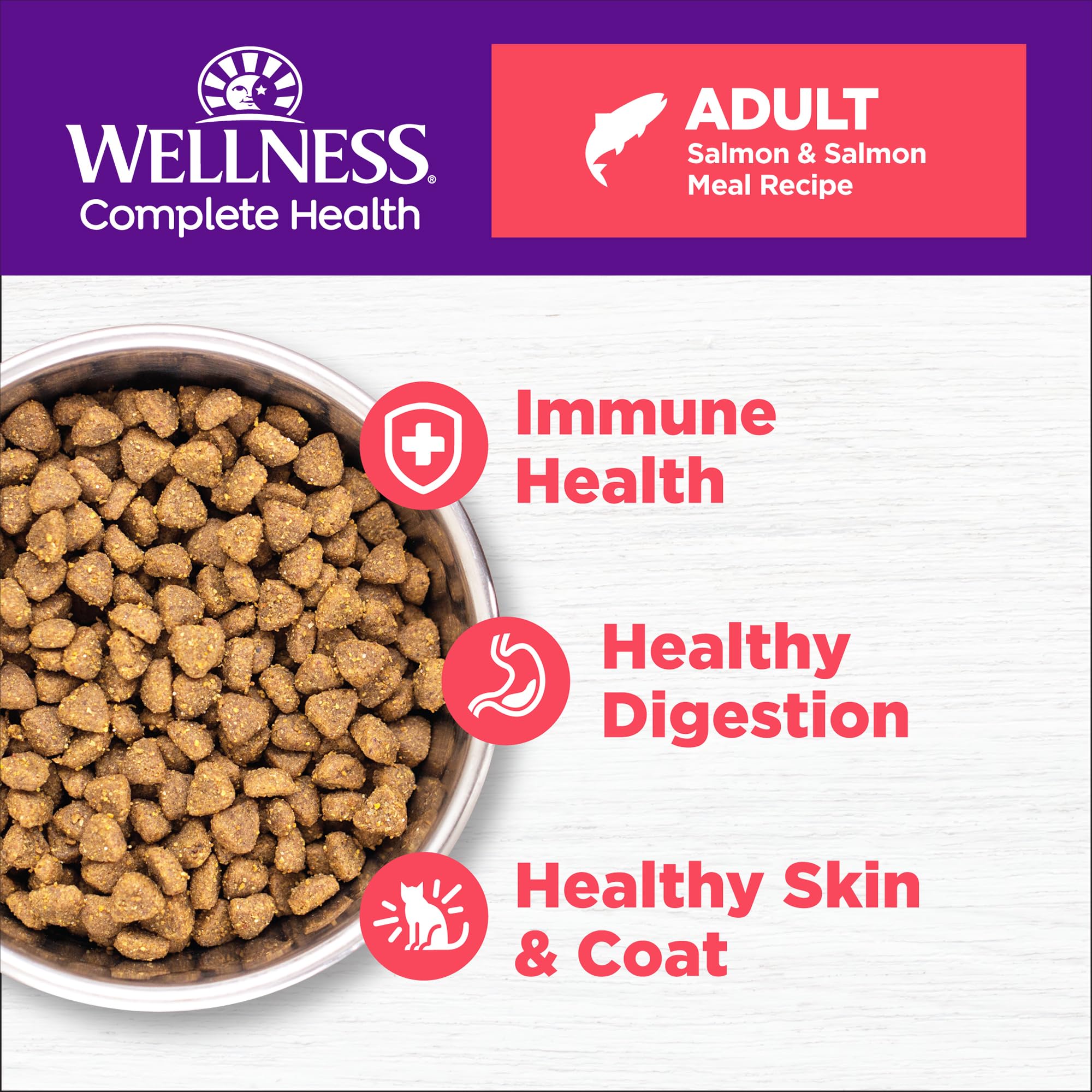 Closeup of Wellness salmon kibble showing crunchy texture