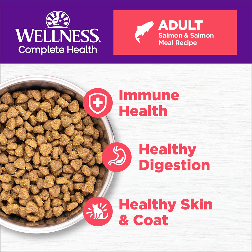 Closeup of Wellness salmon kibble showing crunchy texture