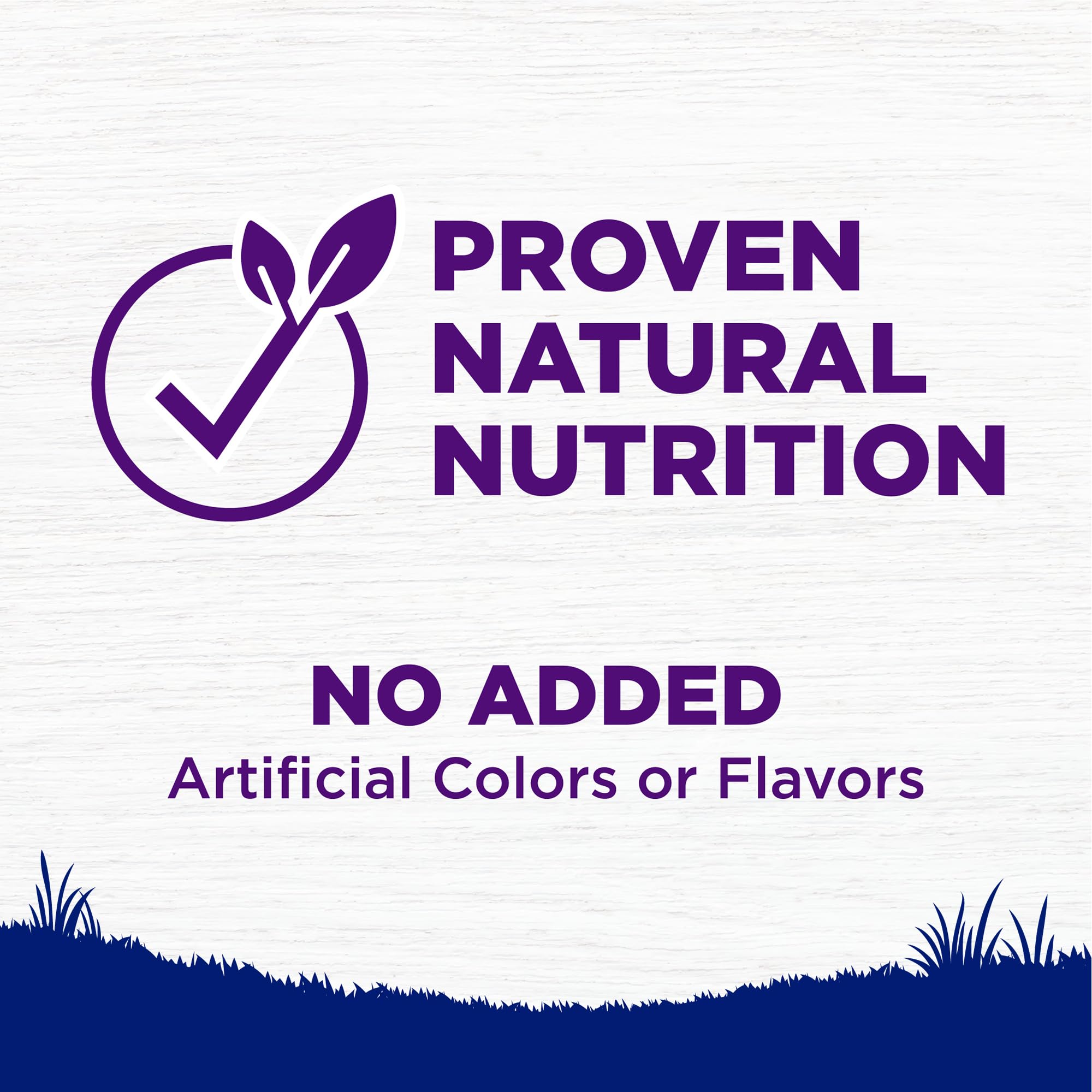 Salmon meal and brown rice highlight balanced nutrition in Wellness kibble