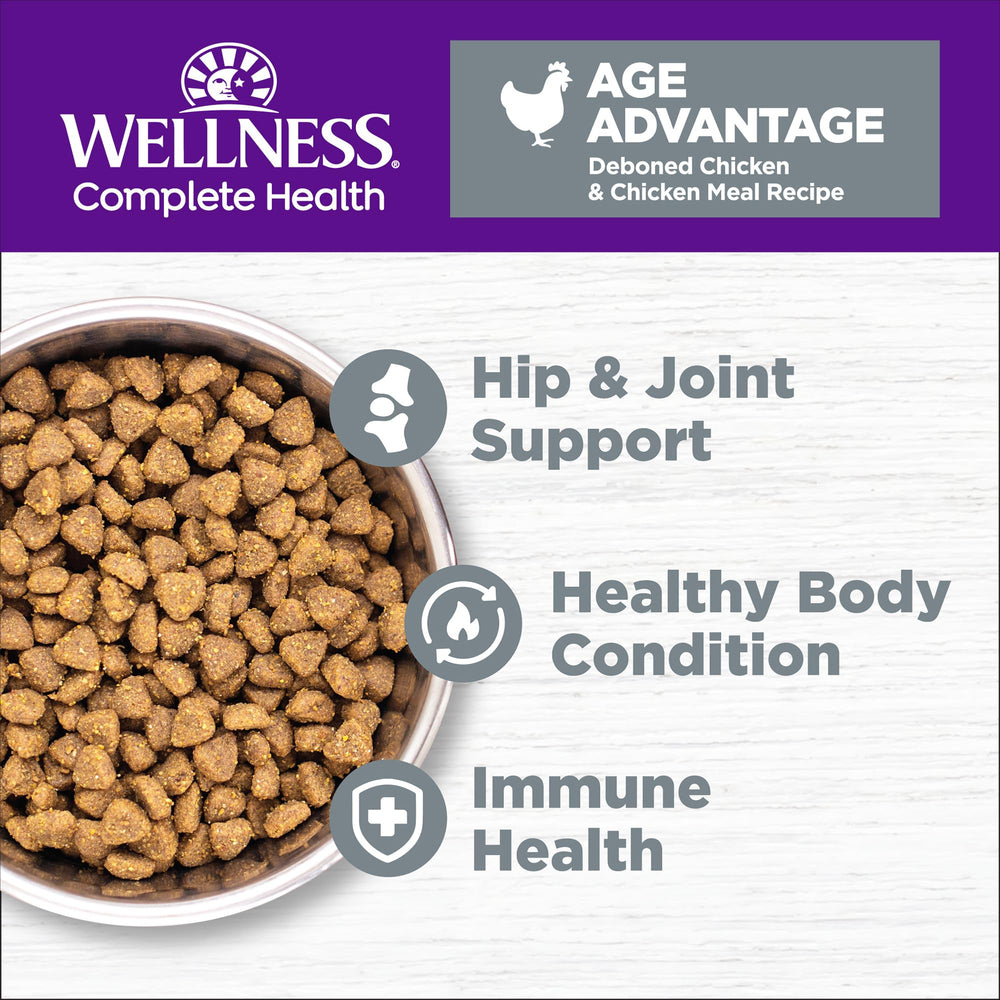 Wellness Complete Health Senior Dry Cat Food in a bowl highlighting convenient feeding for aging cats
