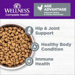 Wellness Complete Health Senior Dry Cat Food in a bowl highlighting convenient feeding for aging cats