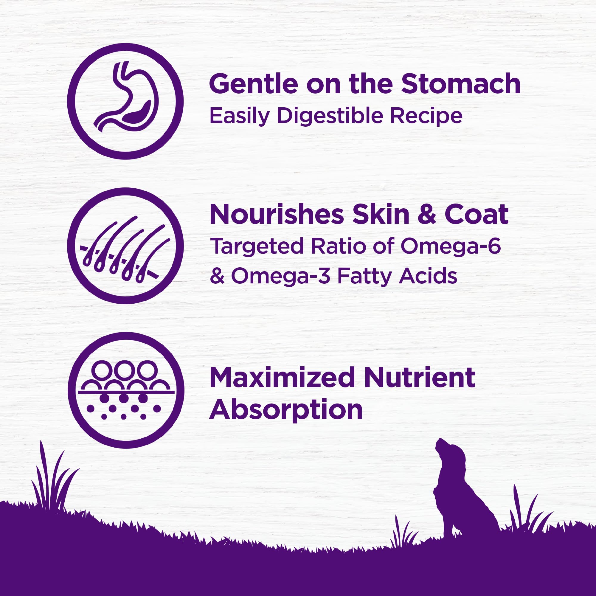 Wellness Complete Health omega fatty acids support healthy skin and coat