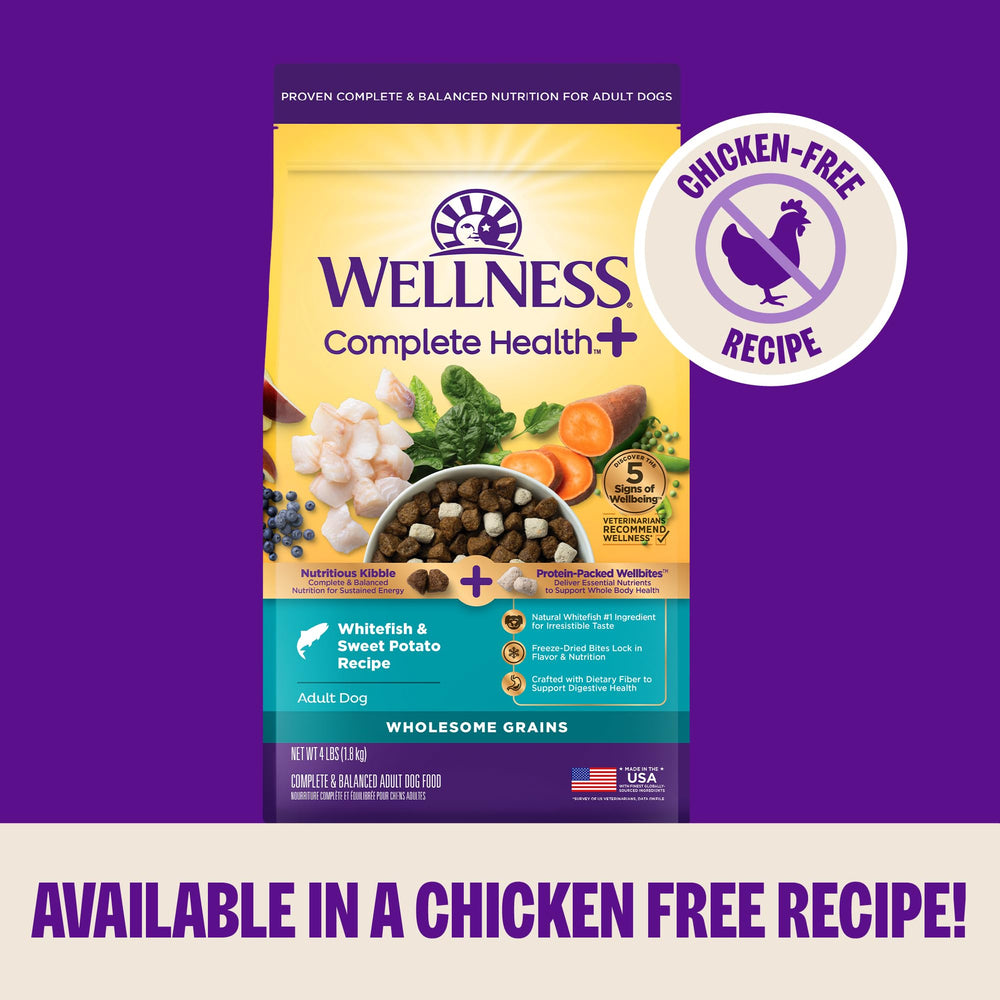 Vet-recommended Wellness Complete Health+ for small breeds