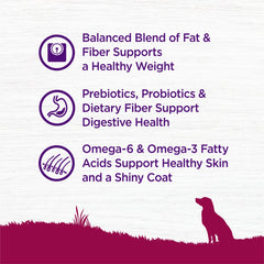 Wellness Complete Health ingredients image showcases wholesome grains and natural nutrients.