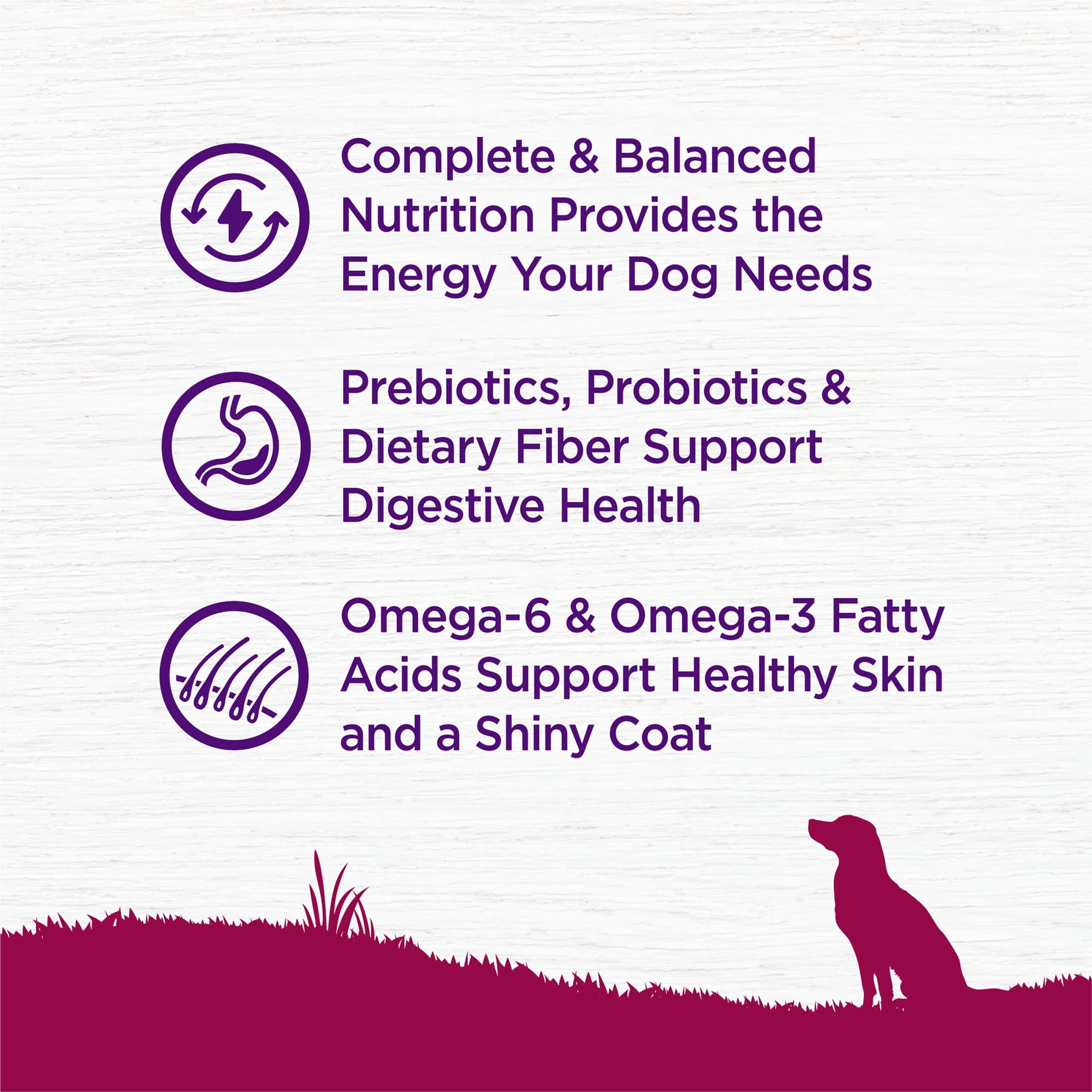 Turkey and oatmeal blend in Wellness small breed formula for tasty nutrition.