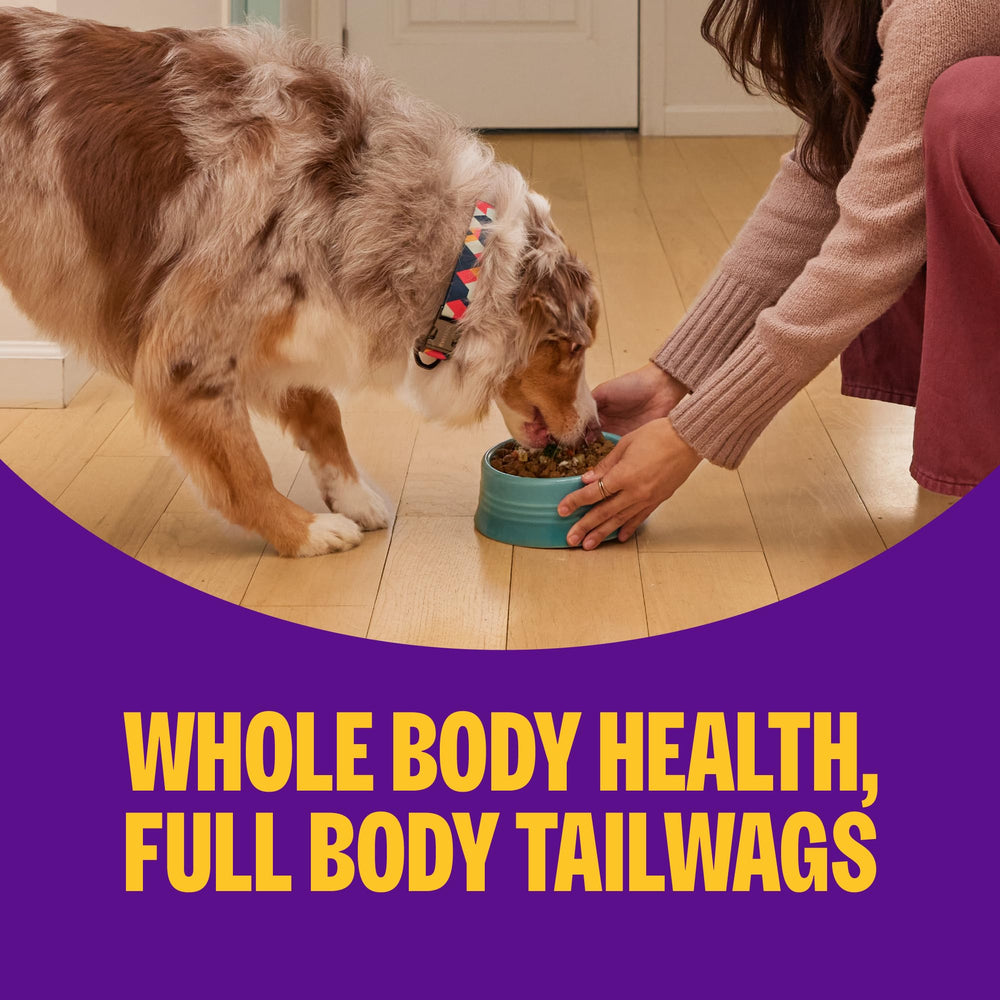 Bowl of Wellness Complete Health+ with fruits and vegetables