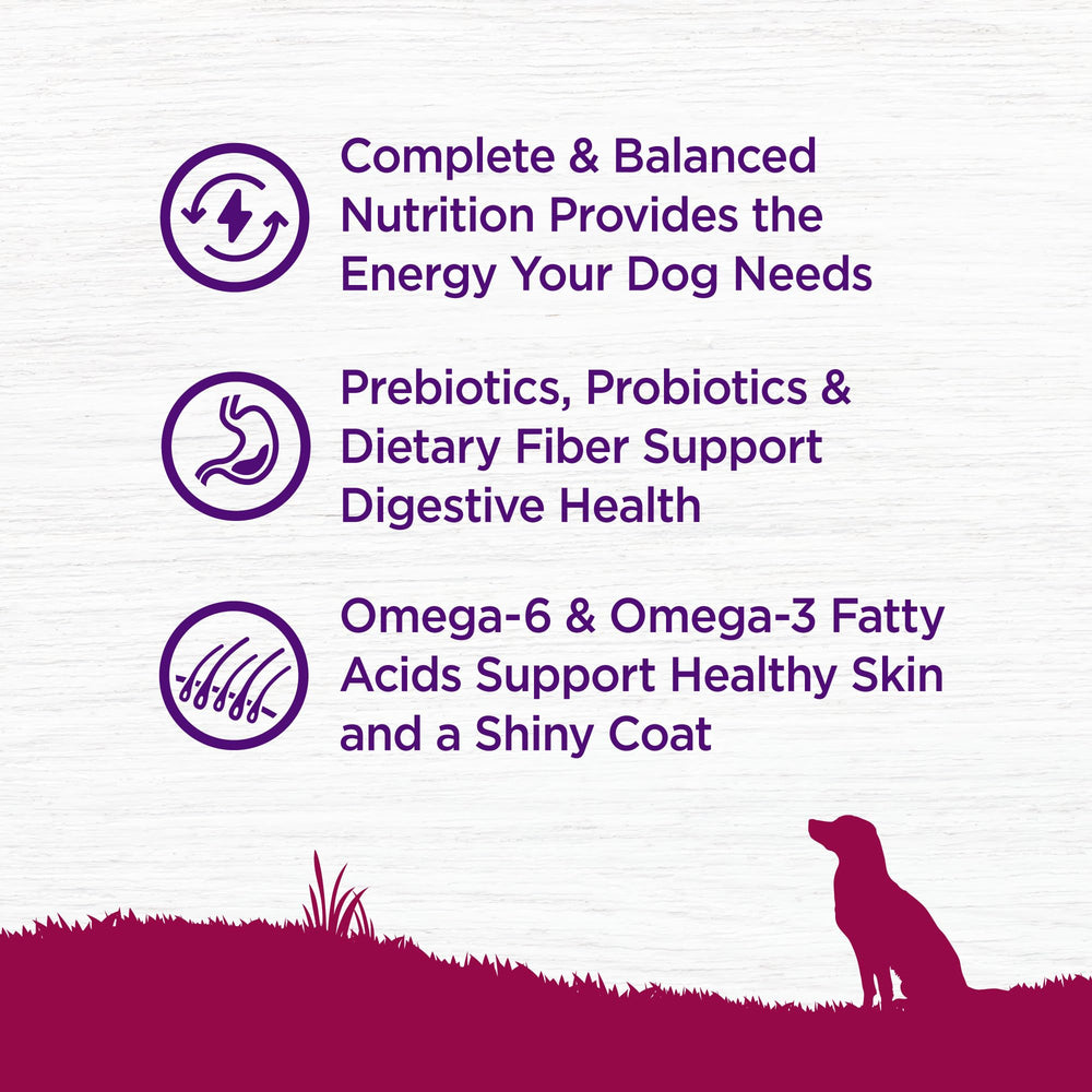 Wellness Complete Health ingredients image with turkey, chicken meal, and salmon for protein-rich nutrition.