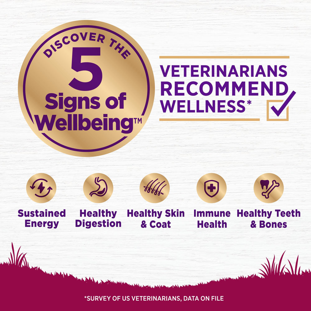 Wellness Complete Health kibble close-up showing crunchy texture for small breeds.