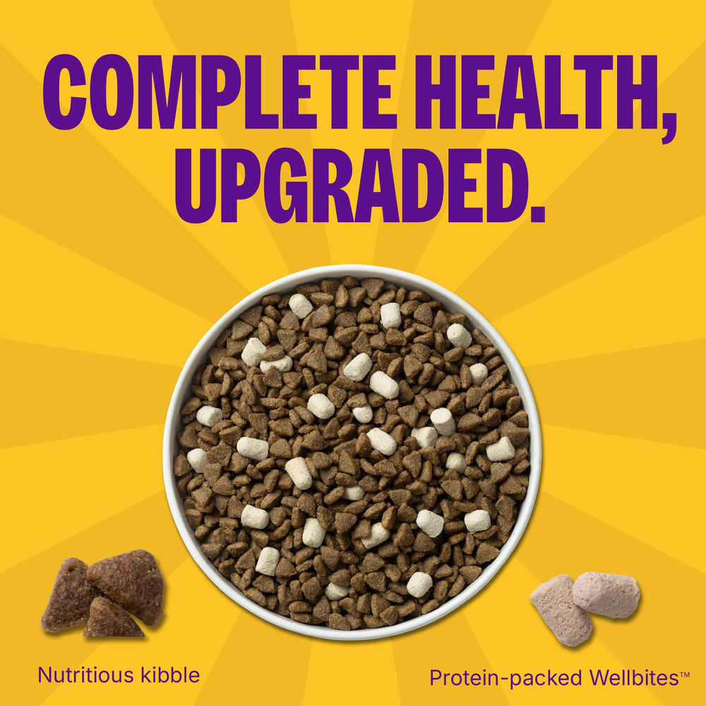 Wellness Complete Health+ kibble with freeze-dried Wellbites in a bowl