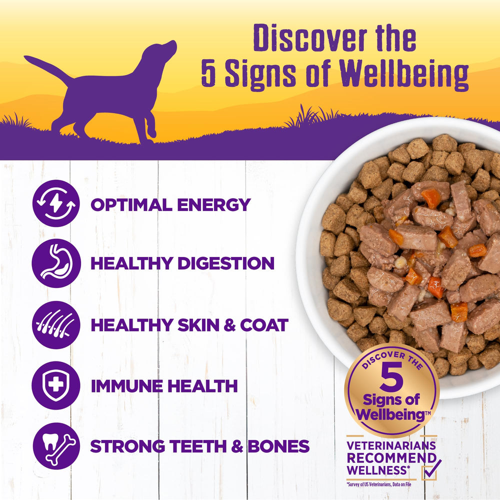Wellness Complete Health Stew grain-free formula with no corn, wheat, or soy