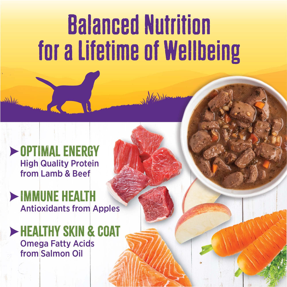 Wellness Complete Health Stew rich gravy highlighting savory aroma