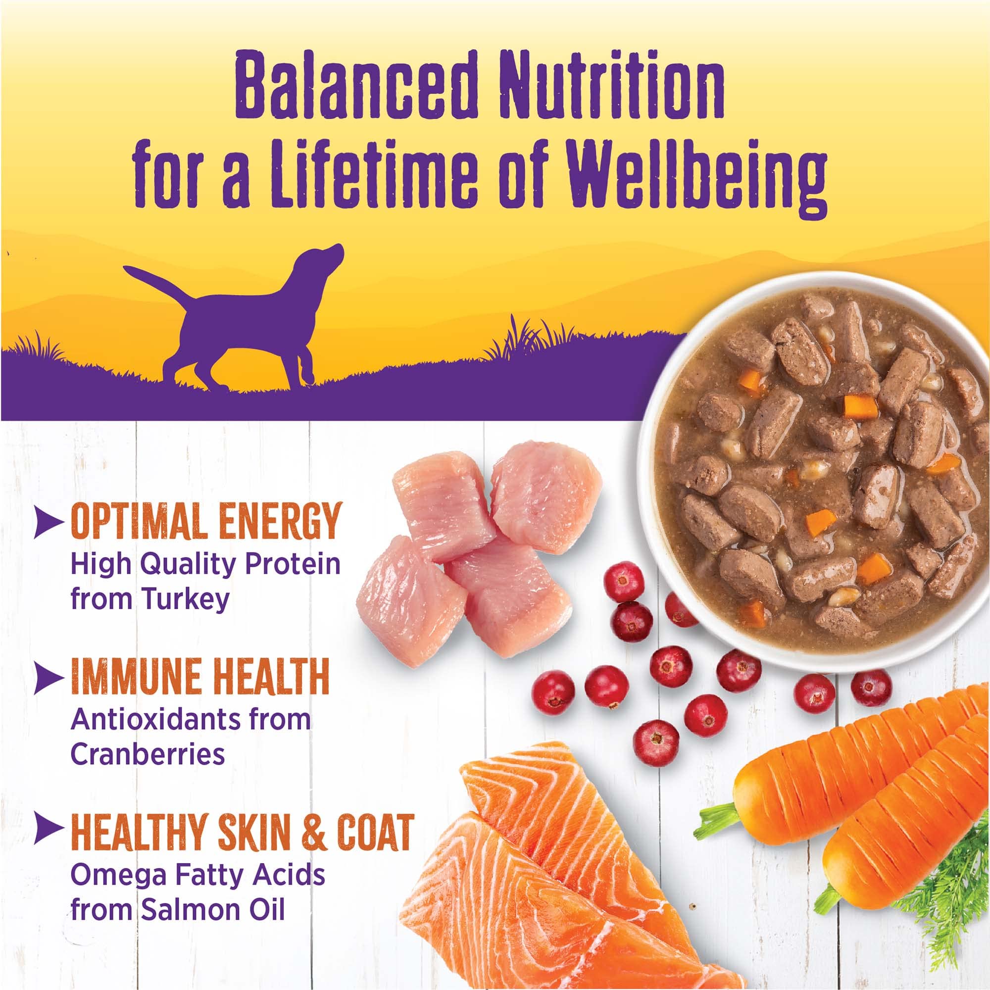 Wellness Complete Health Stew antioxidants support immune health
