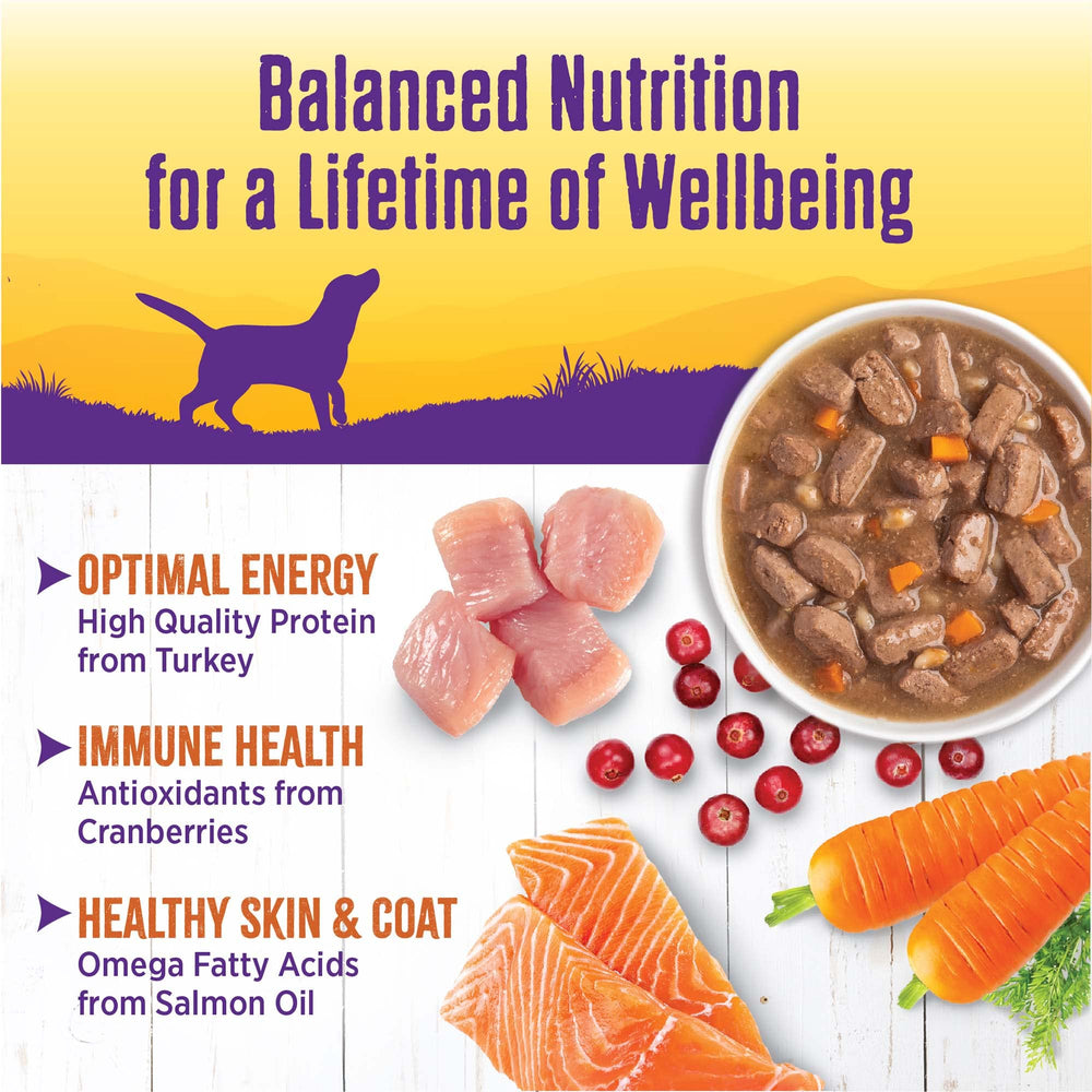 Wellness Complete Health Stew antioxidants support immune health