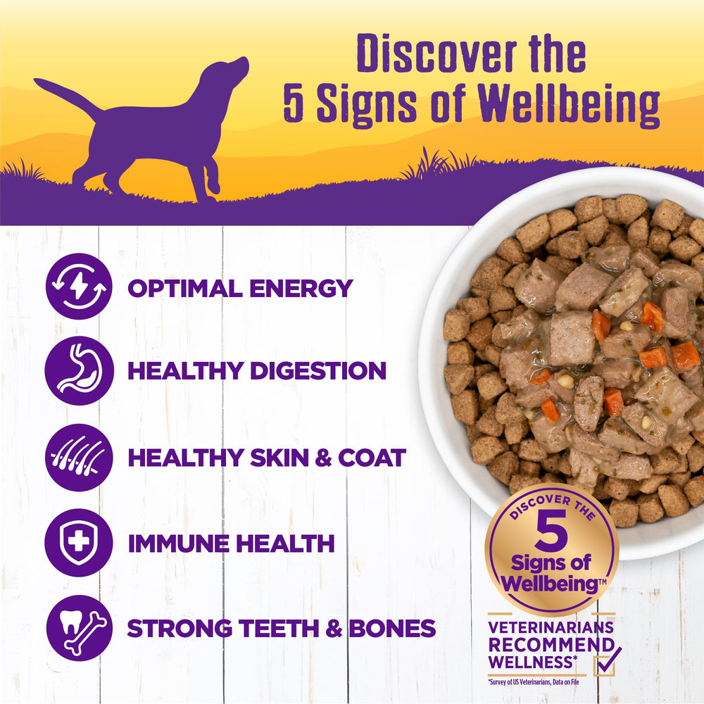 Wellness Complete Health Stew lamb-beef-chunks in thick, hearty texture