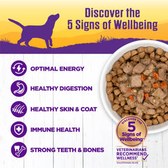 Wellness Complete Health Stew lamb-beef-chunks in thick, hearty texture