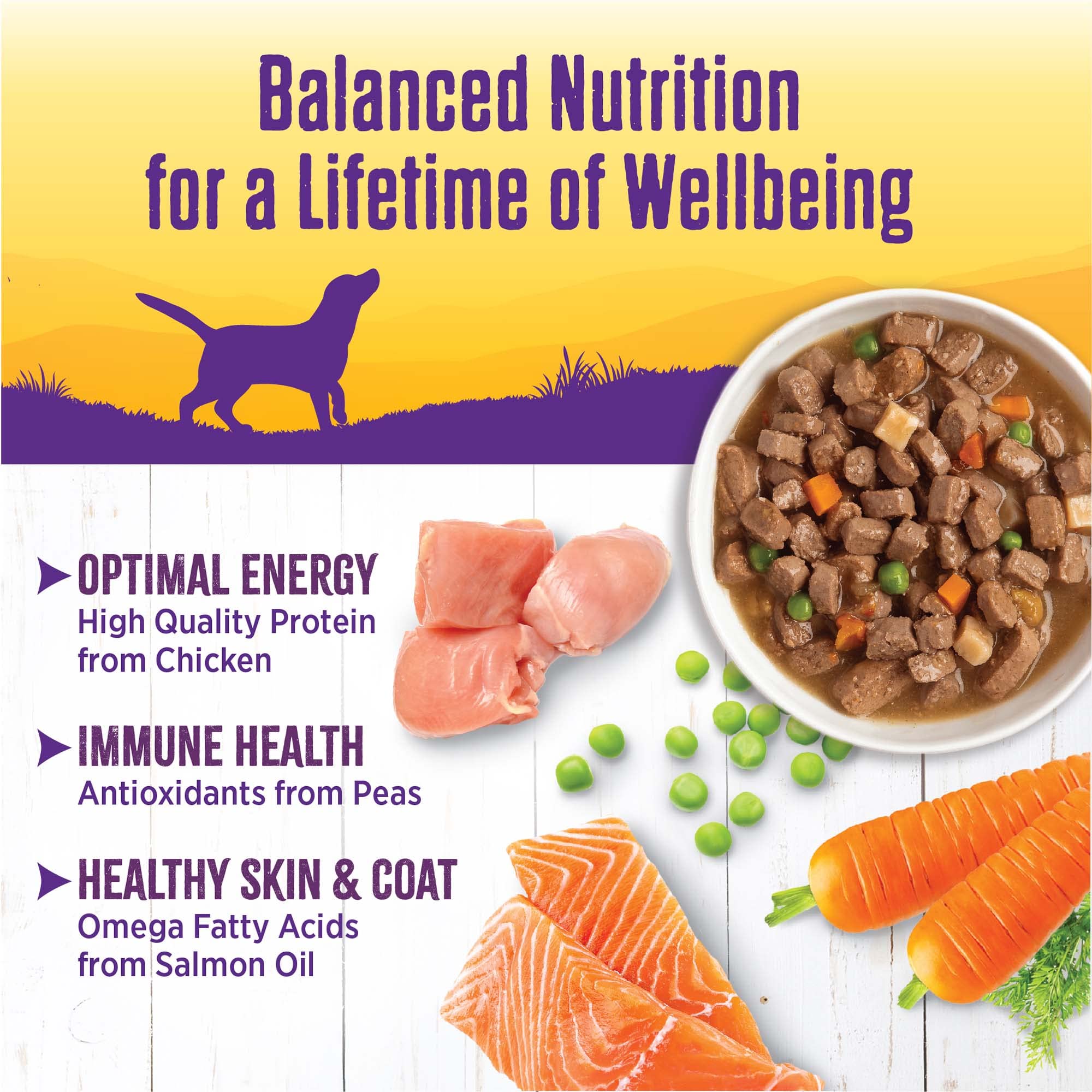 Omega fatty acids from Wellness Complete Health Stew supporting skin and coat
