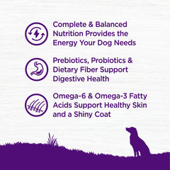 Wellness Complete Health sweet potato slices emphasizing wholesome carbs