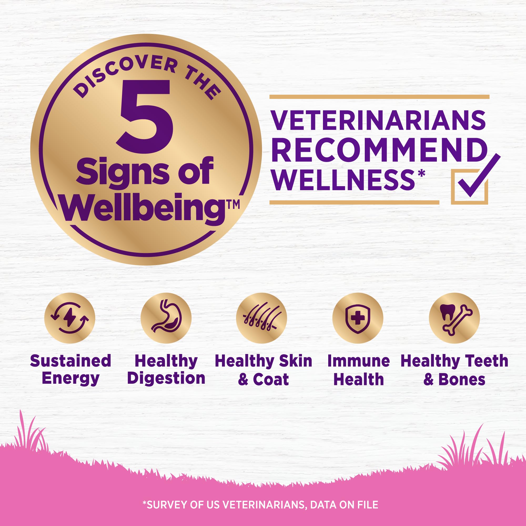 Wellness Complete Health toy breed kibble closeup highlighting protein-rich bites for small dogs