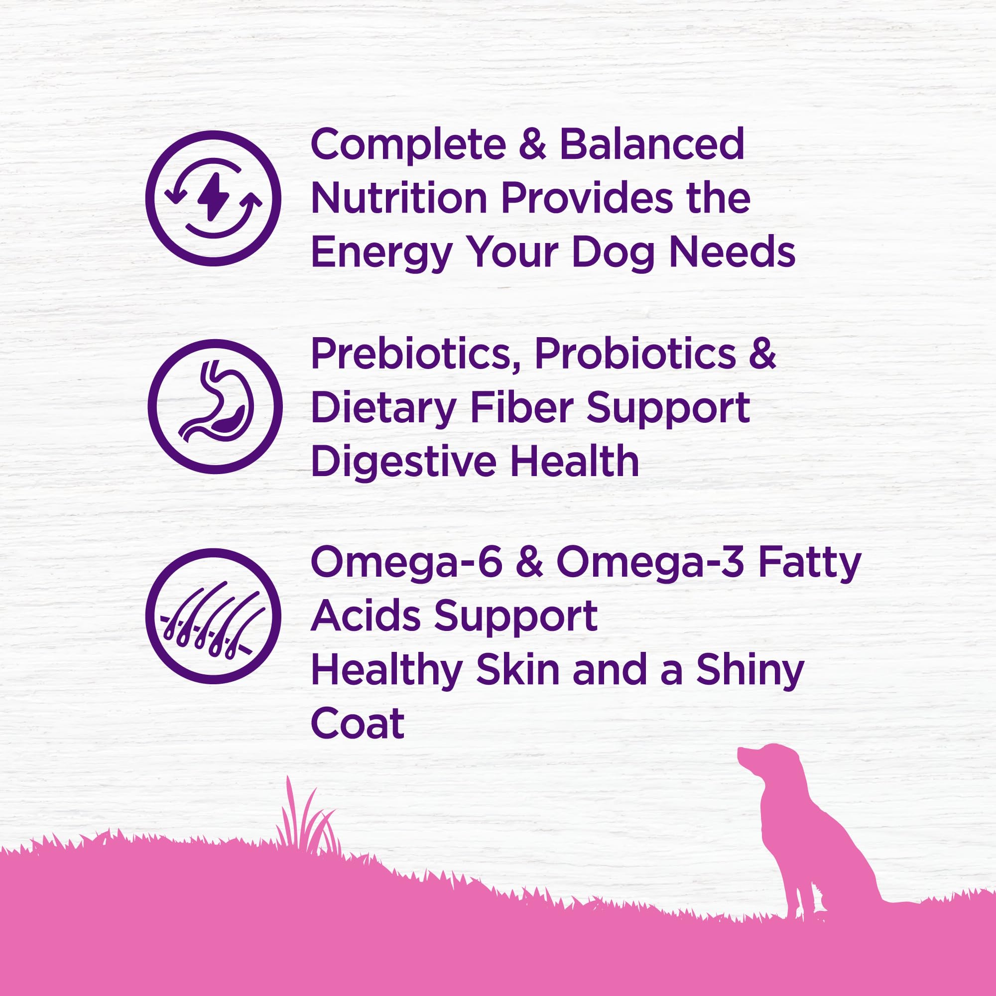 Wellness Complete Health toy breed protein-rich kibble closeup signaling balanced daily nutrition