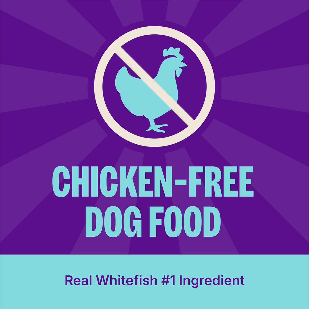 Wellness Complete Health whitefish ingredient highlight for protein-rich recipe