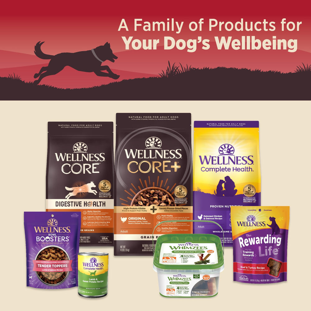 Wellness CORE 95 USA-made facility – quality production behind every can.