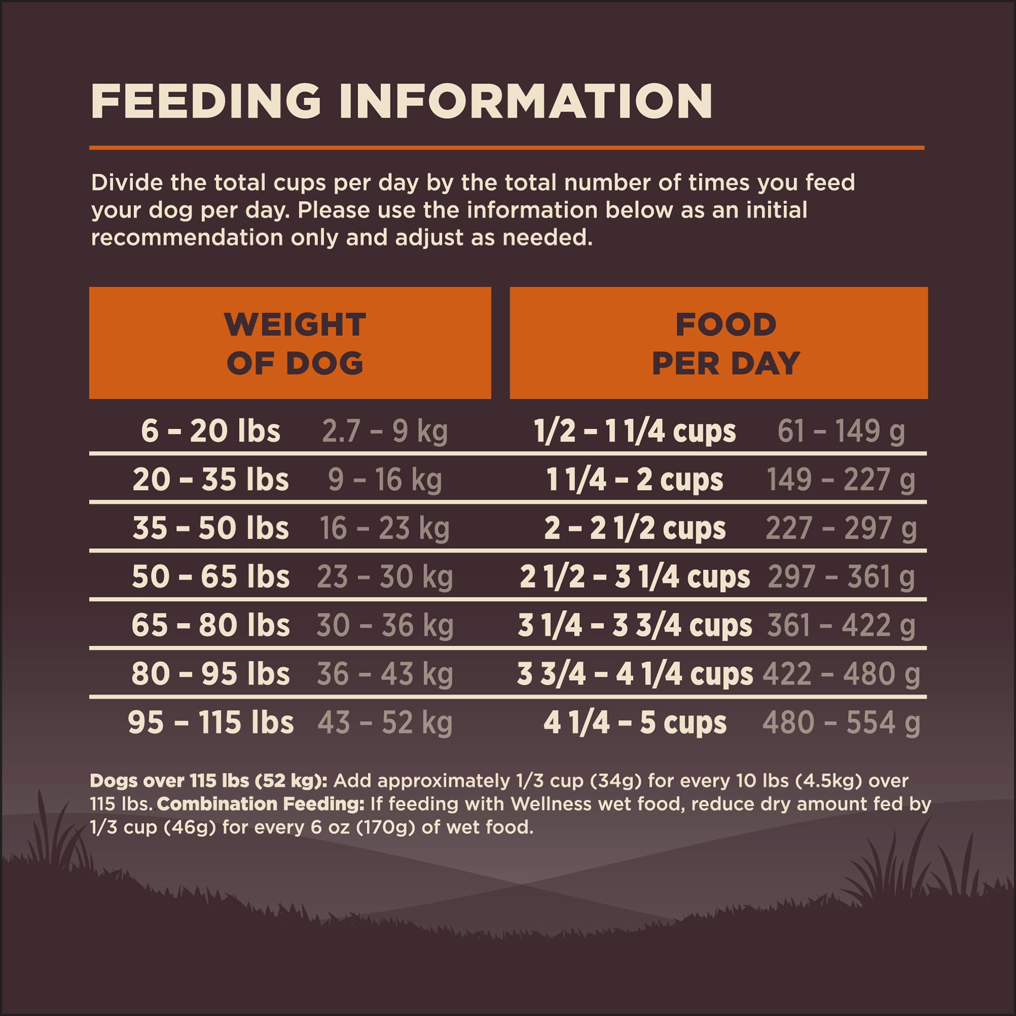 Wellness CORE adult-dog-serving illustrates daily meal option.