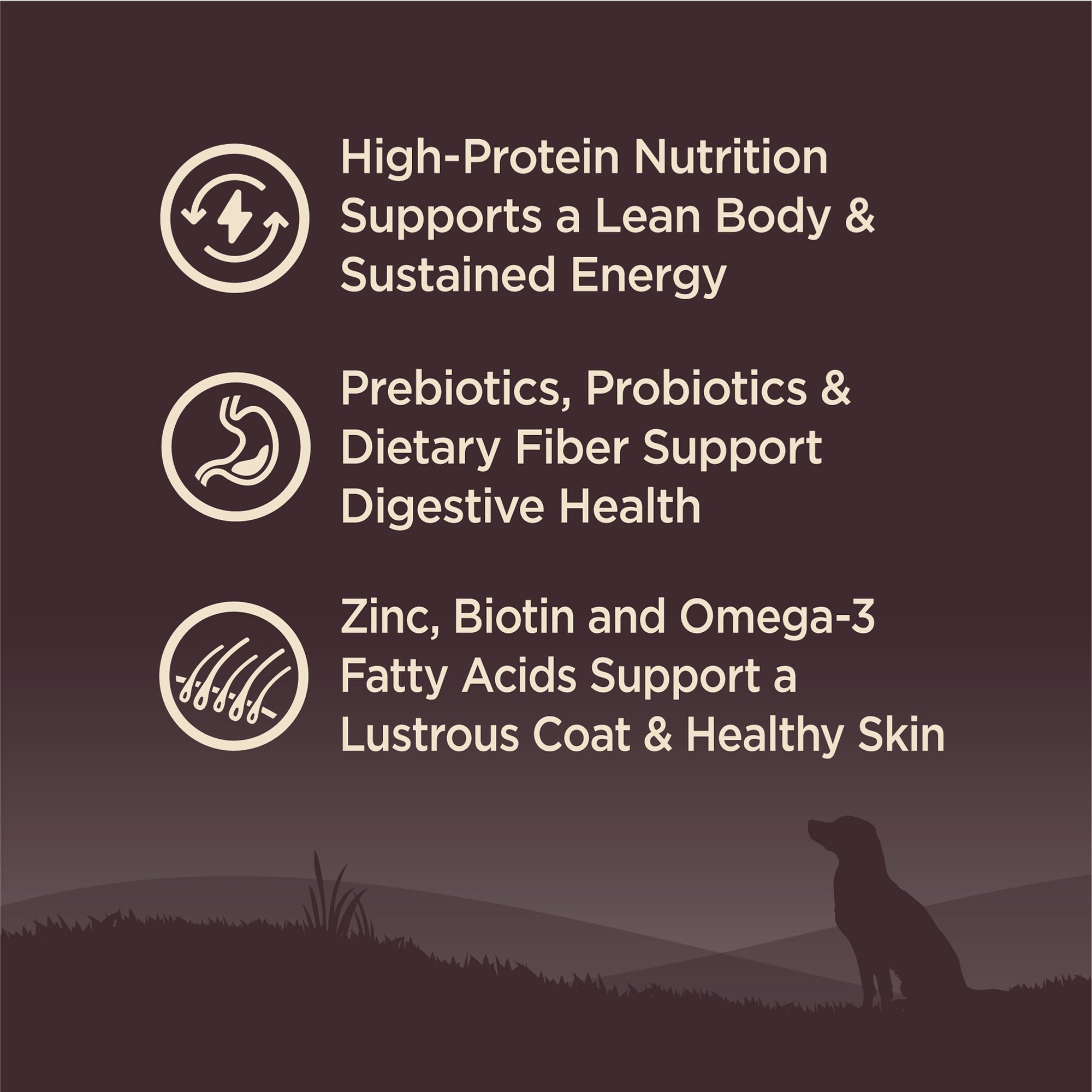 Wellness CORE Flax oil with kibble illustrating healthy fats