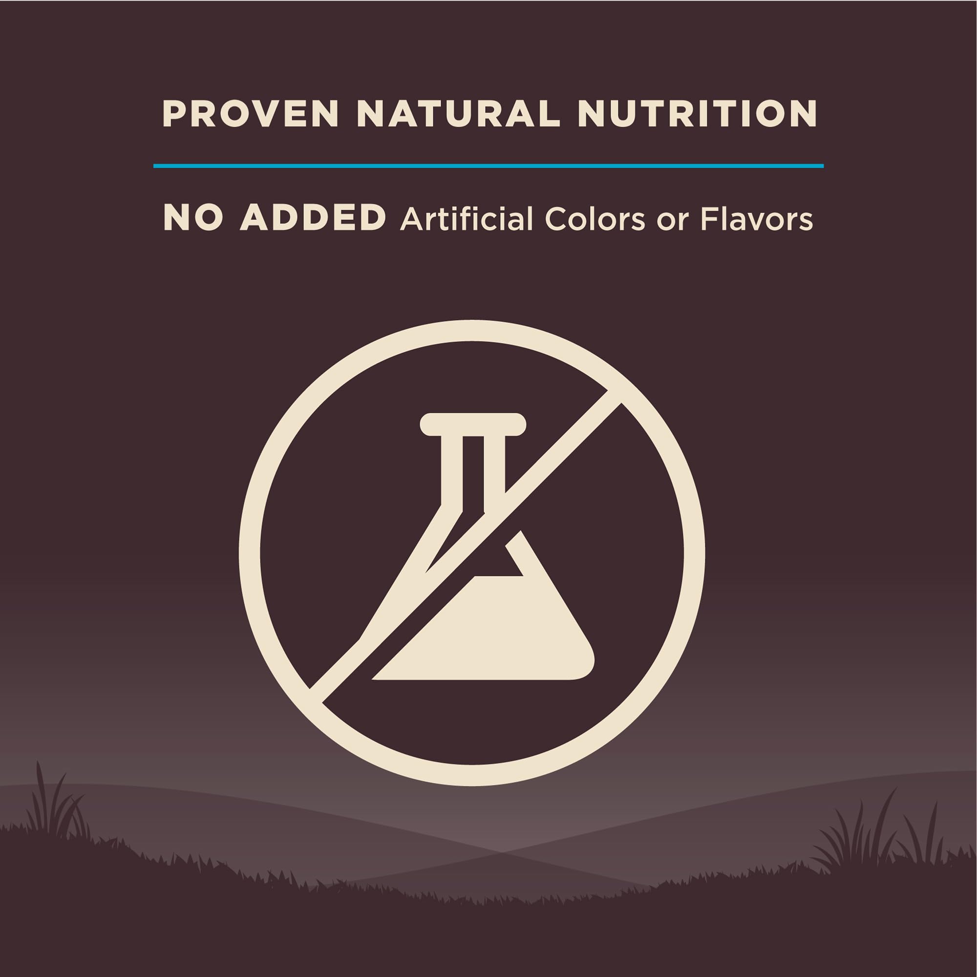 Wellness CORE Omega fatty acids concept with kibble and supplement hints